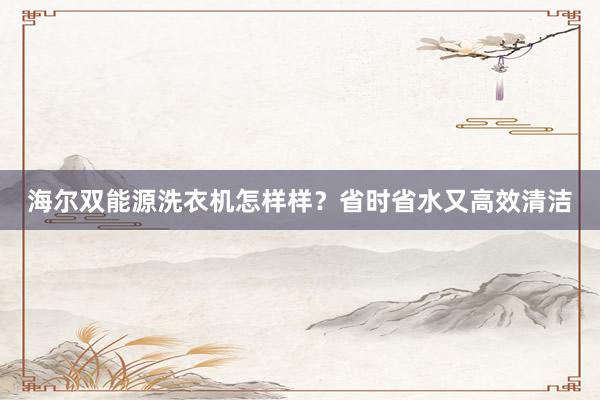 海尔双能源洗衣机怎样样？省时省水又高效清洁
