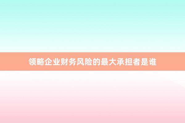 领略企业财务风险的最大承担者是谁