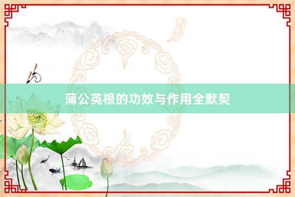 蒲公英根的功效与作用全默契